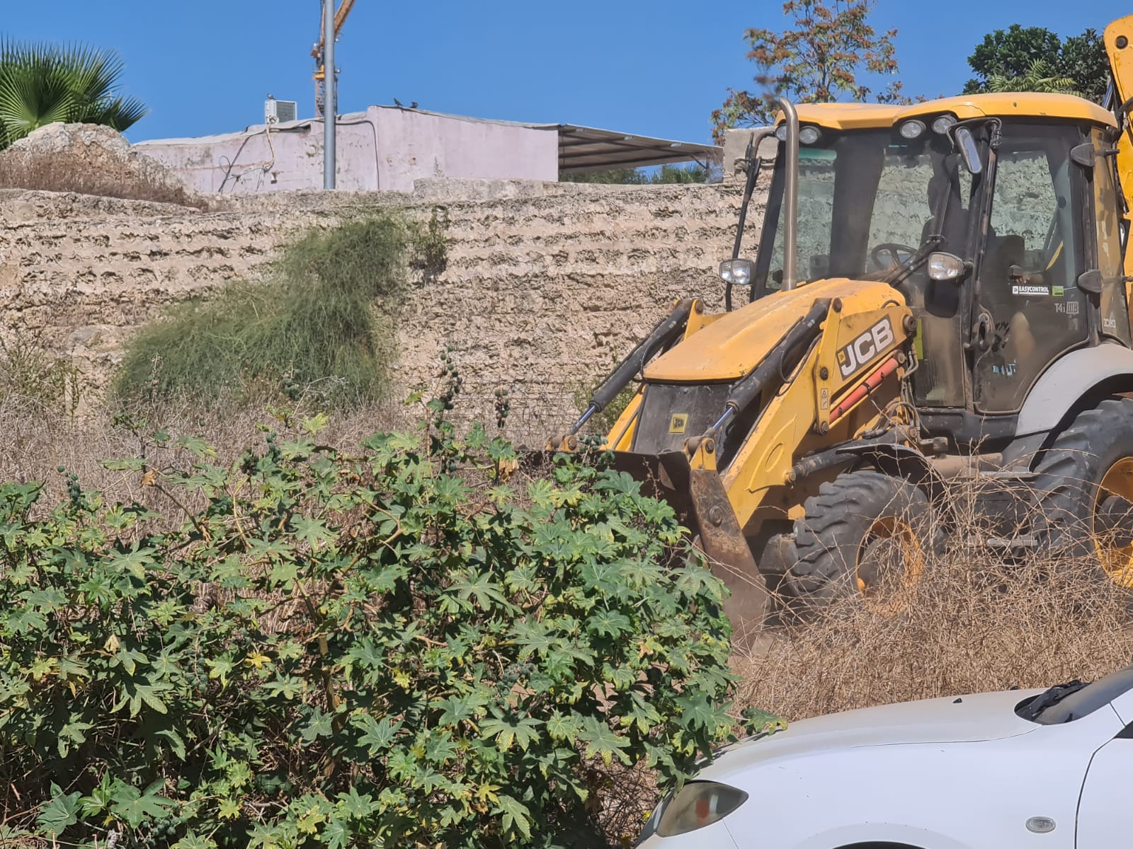 WhatsApp Image 2020-10-17 at 7.33.50 PM.jpeg.jpeg